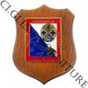 Crest CC Legione Calabria