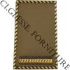 CG25TEISMA1