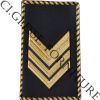 CG25TEISE2N