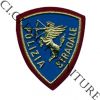 Scudetto PS Polizia Stradale