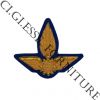 CG11EIFBRAutieriSC