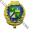 Distintivo GdF Accademia dorato