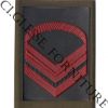 CG25TEIFP6V