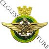 Distintivo GdF Servizio Aeronavale