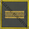 CG25VGdFMA2